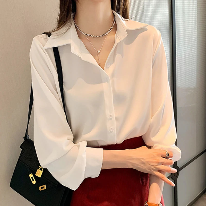 Women’s Chiffon Long Sleeve Blouse