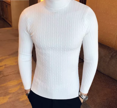 Knitted Fit Turtleneck