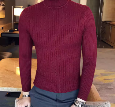 Knitted Fit Turtleneck