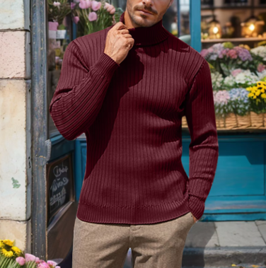 Knitted Fit Turtleneck